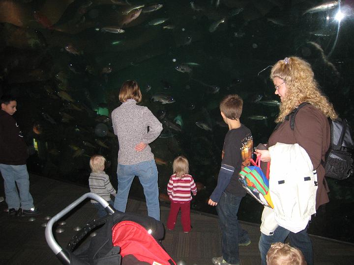 Seattle Aquarium 01.JPG